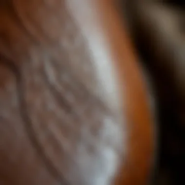 Close-up of high-quality leather texture