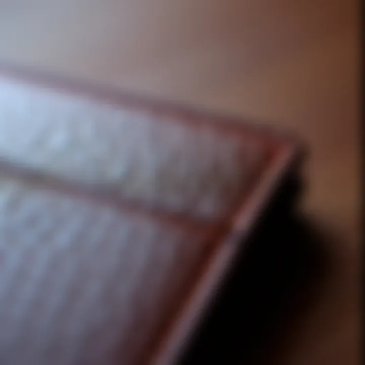 Close-up of premium quality leather texture in a cardholder