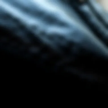 Close-up of the texture of a black shiny coat