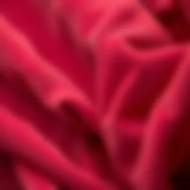 Close-up of velvet fabric showcasing texture and quality